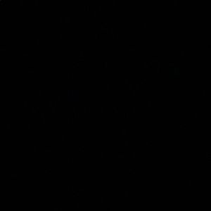 Meet your Posher, George